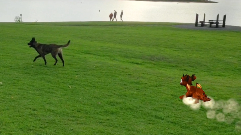 Sparky AR chasing a dog